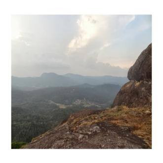 Stay In A Homestay In Chikmagalur Estate Mallandur, Chikmaglur 5